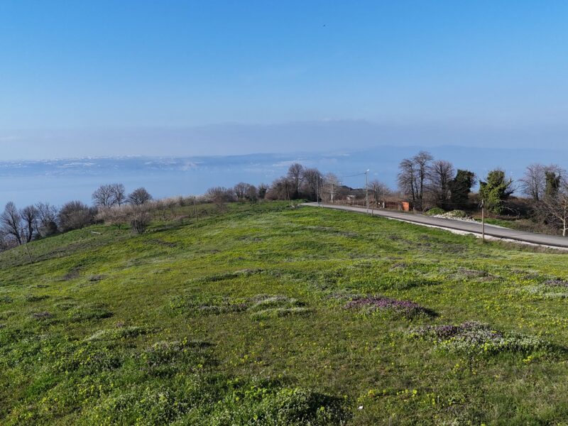 KARAMÜRSEL’DE DENİZ MANZARALI 451 M2 SATILIK ARSA