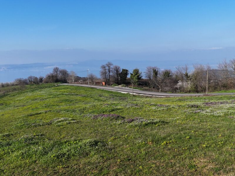 KARAMÜRSEL’DE DENİZ MANZARALI 451 M2 SATILIK ARSA