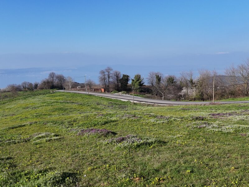KARAMÜRSELDE DENİZ VE KÖPRÜ MANZARALI SATILIK 530 M2 ARSA