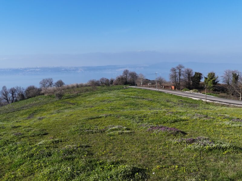 KARAMÜRSELDE DENİZ VE KÖPRÜ MANZARALI SATILIK 530 M2 ARSA