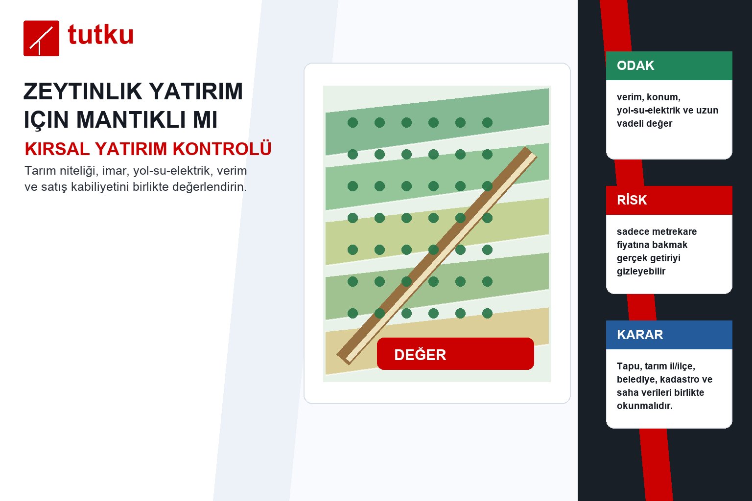 Zeytinlik yatırım için mantıklı mı?