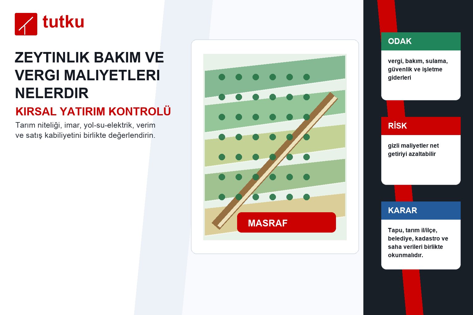 Zeytinlik bakım ve vergi maliyetleri nelerdir?