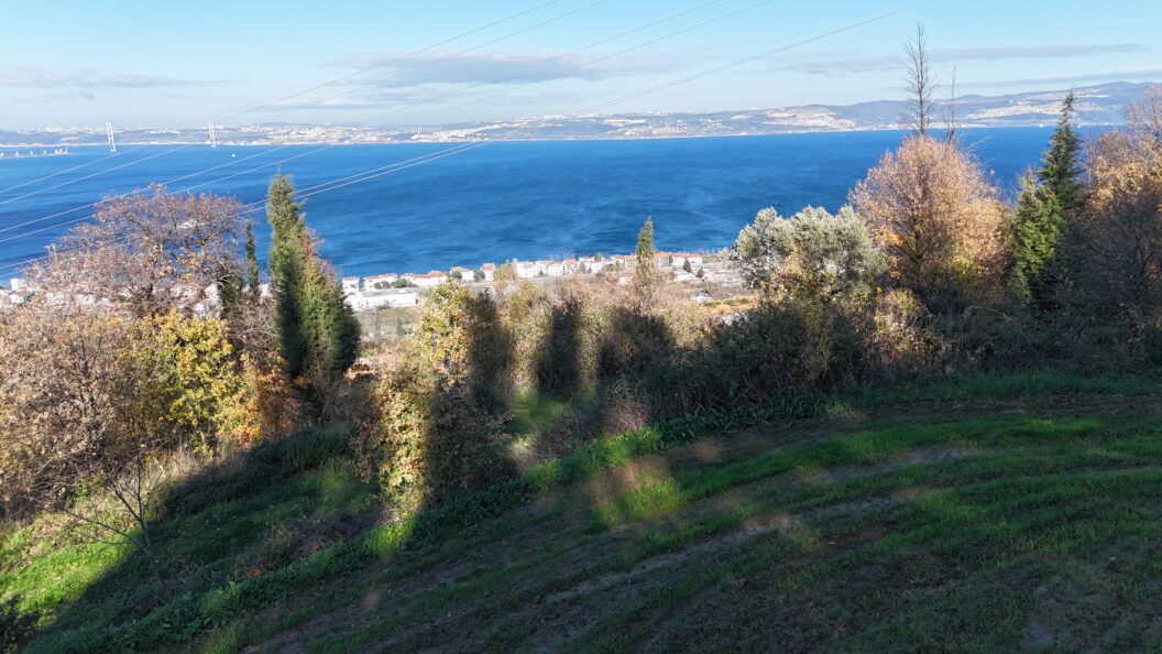 dji fly 20251230 123622 0037 1767119235050 photo